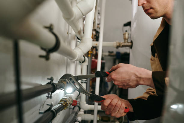 Best Commercial Plumbing Services  in South Beloit, IL