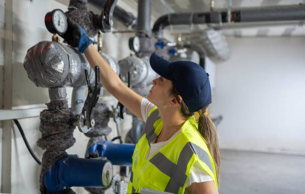 Best Local Plumber Services  in South Beloit, IL